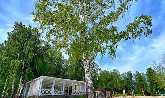 Фото №10 зала Веранда на пляже