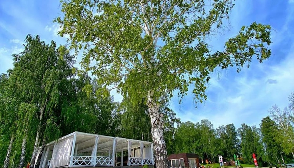 Фото №10 зала Веранда на пляже