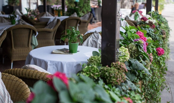 Фото №5 зала Летняя веранда