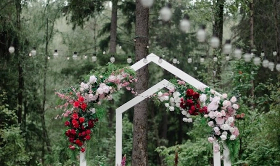 Фото №3 зала Сосновый бор