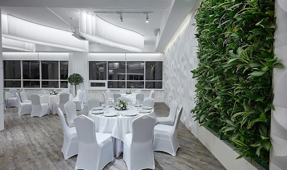 Фото №12 зала Большой зал