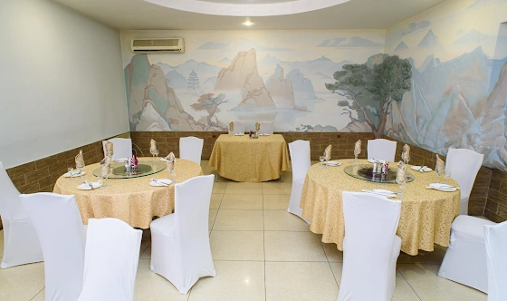 Фото №8 зала  Зал «Китайская стена»