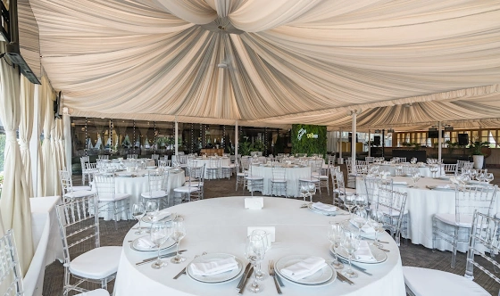 Фото №19 зала Веранда «Гуси-Лебеди»