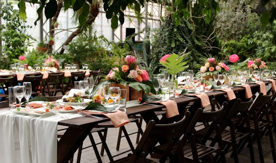 Фото №15 зала Оранжерея 