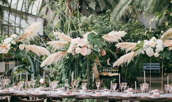 Фото №6 зала Оранжерея 