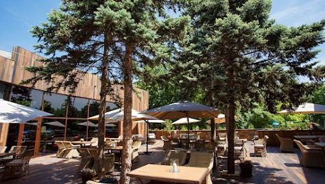 Фото №3 зала Летняя веранда