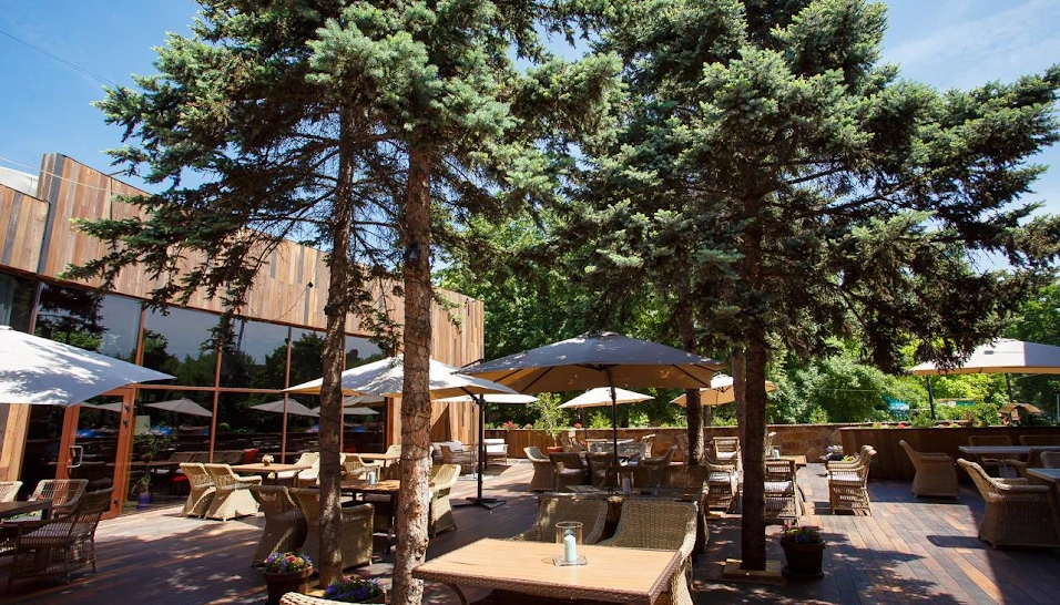 Фото №3 зала Летняя веранда