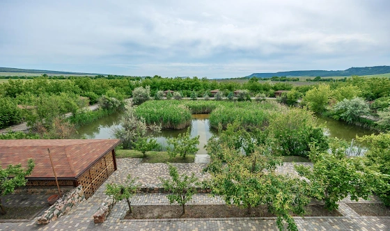 Фото №5 зала Терраса 