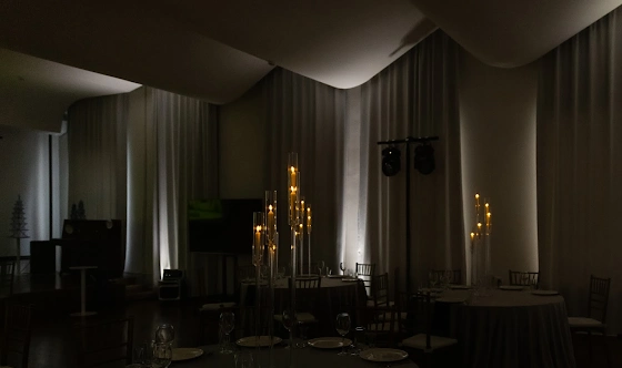 Фото №8 зала Большой зал 