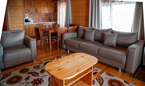 Фото №8 зала Альпийские дома "Южный поселок"