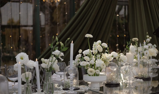 Фото №14 зала Оранжерея «Ботаника»