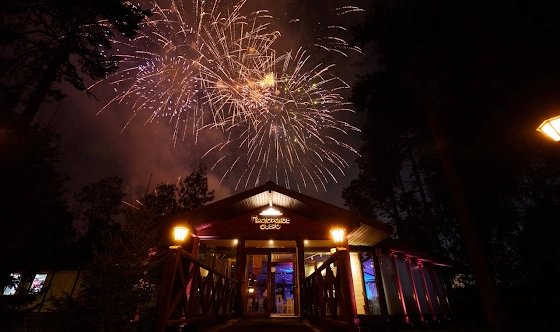 Фото №16 зала Ресторан