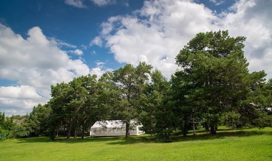 Фото №16 зала Шатер