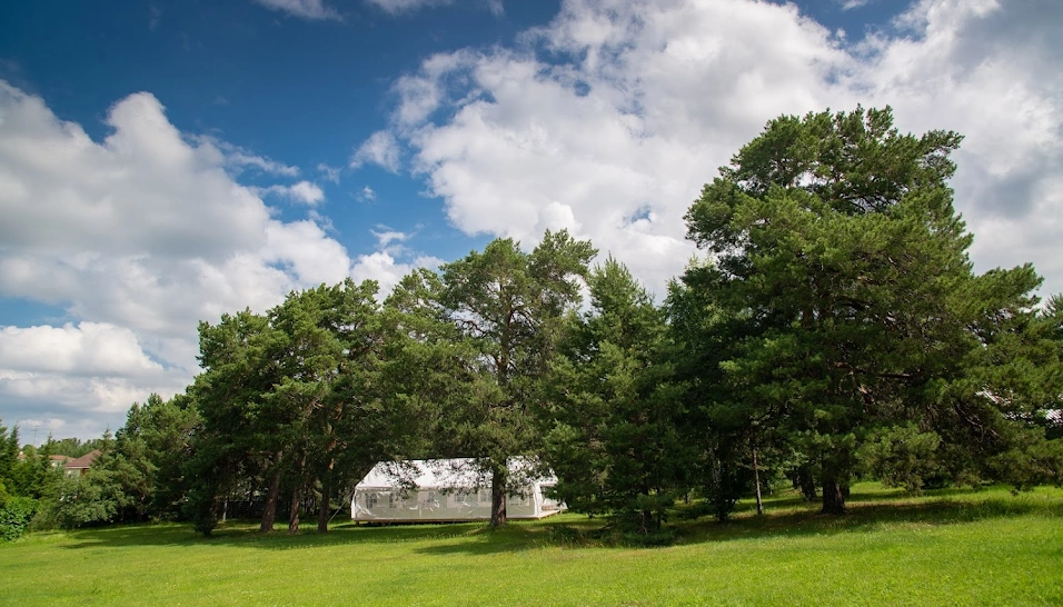 Фото №16 зала Шатер