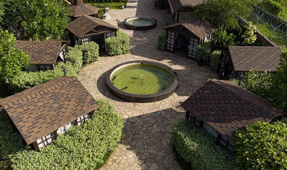 Фото №11 зала Летняя терраса 