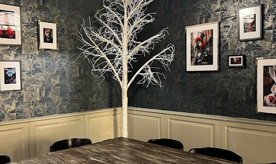 Фото №3 зала VIP-комната с караоке