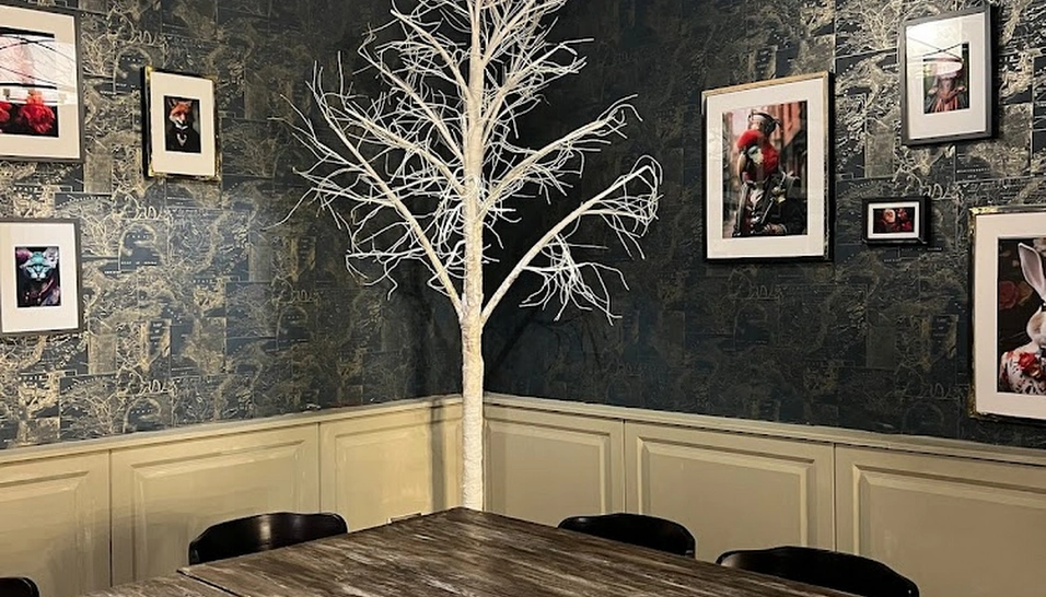 Фото №3 зала VIP-комната с караоке