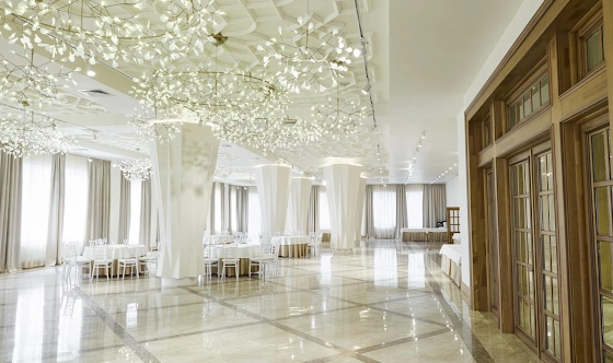 Фото №16 зала Большой банкетный зал