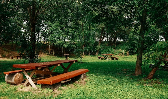 Фото №15 зала Шатер