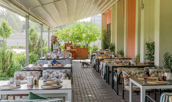 Фото №17 зала Веранда 