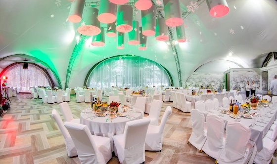 Фото №17 зала Зал «Оранжерея»