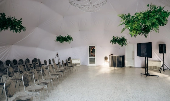 Фото №12 зала Купол