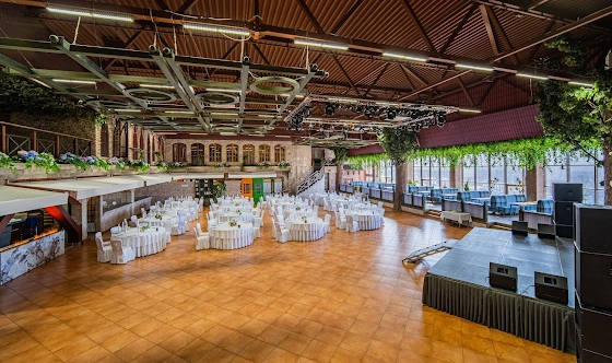 Фото №13 зала Зал «Маркштадт» 