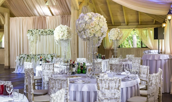 Фото №2 зала Шатер «Еловый»