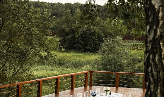 Фото №6 зала Амфитеатр ODEON