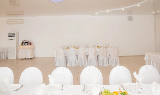 Фото №11 зала Зал «Бежевый»