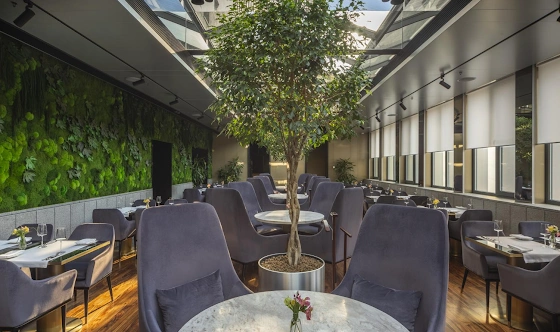 Фото №11 зала Оранжерейный зал 