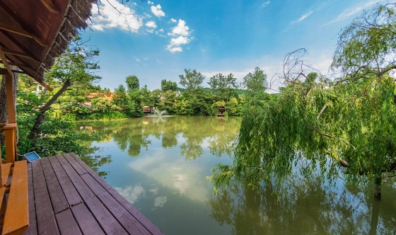 Фото №5 зала Беседки 