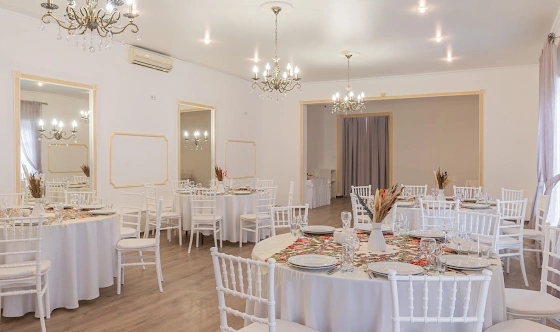 Фото №18 зала Большой банкетный зал 