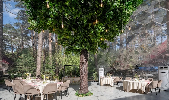 Фото №9 зала Эйва