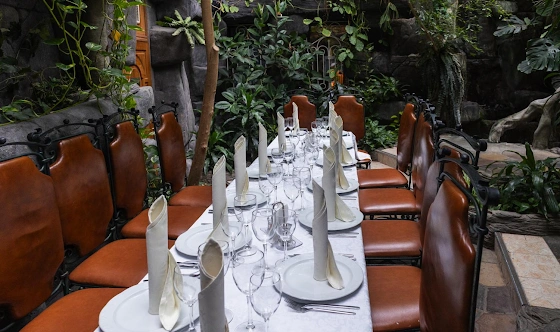 Фото №17 зала Зал «Зимний сад»