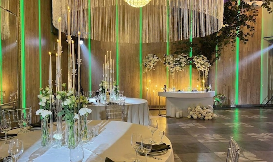 Фото №14 зала Зал «Галерея»