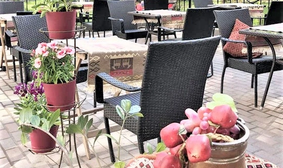 Фото №2 зала Летняя веранда