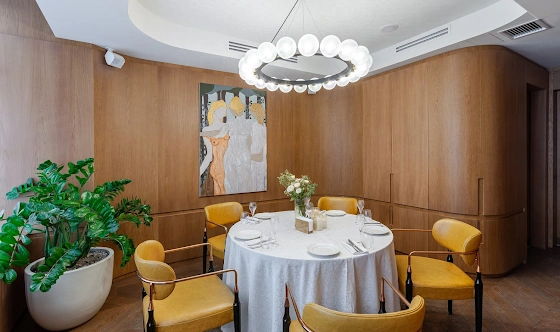 Фото №9 зала VIP-комната