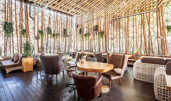 Фото №1 зала Терраса 