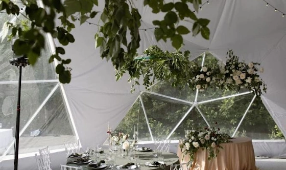 Фото №8 зала Купол