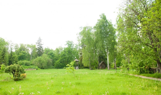 Фото №6 зала Поляна сказок