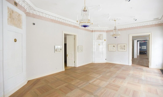 Фото №20 зала Розовая гостиная 