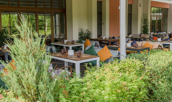 Фото №8 зала Веранда 