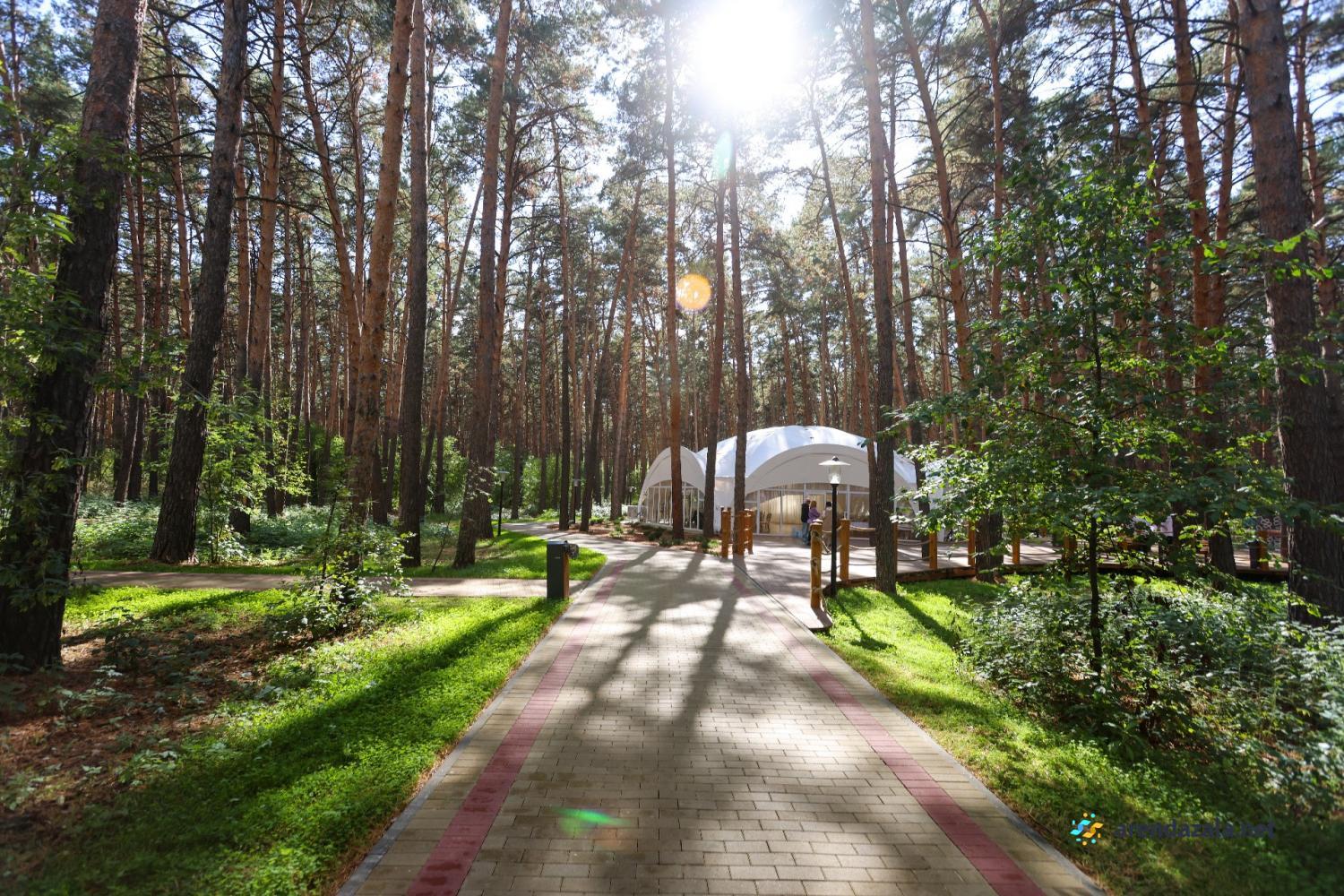 Отель «Мечта Омск п Чернолучинский ул Лесная 2 снять Шатер  