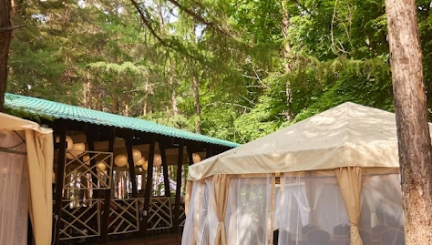 Фото №3 зала Большая беседка 