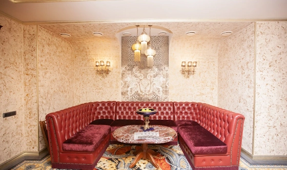 Фото №5 зала VIP-зал