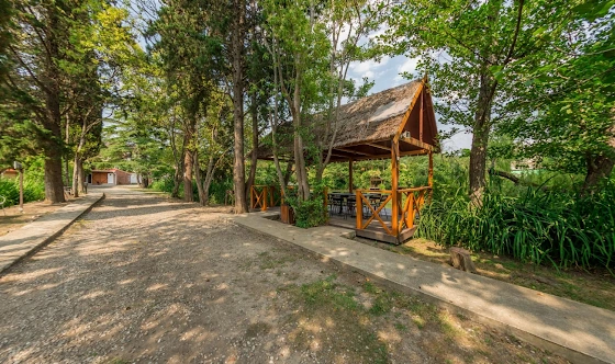 Фото №3 зала Беседки 