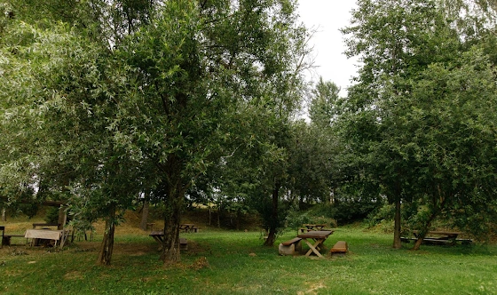 Фото №14 зала Шатер