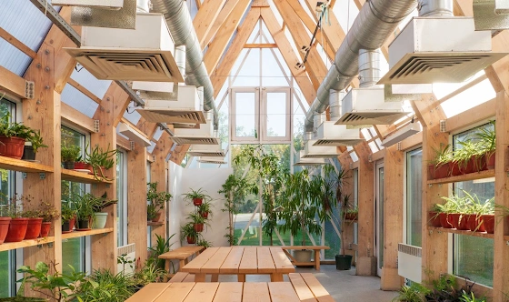 Фото №17 зала Левая и правая оранжерея 