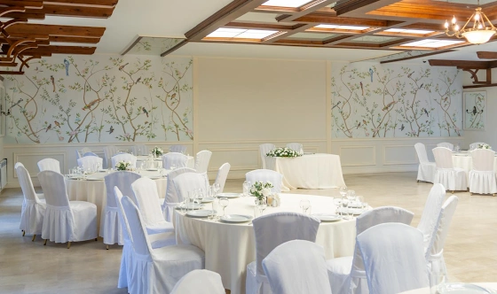 Фото №8 зала Большой банкетный зал